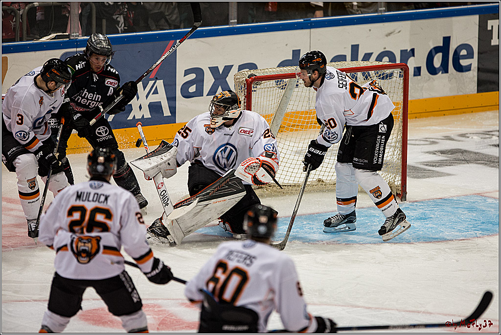 Koelner Haie - Grizzlys Wolfsburg, 16.10.2016, 16.10.2016